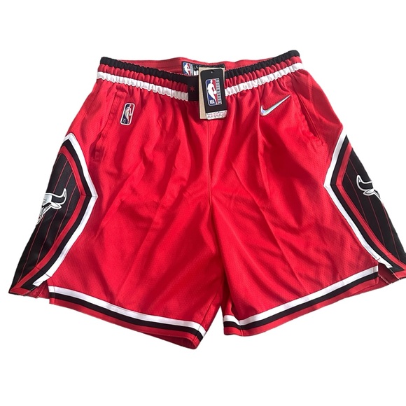 NWT Nike NBA Chicago Bulls Swingman\u200e City Edition Basketball Shorts Small 30